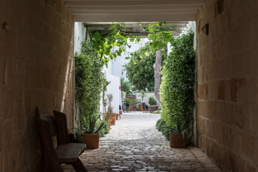 Grup El Carme es Flor de Rosassa & Apartamentos y Casas El Carme
